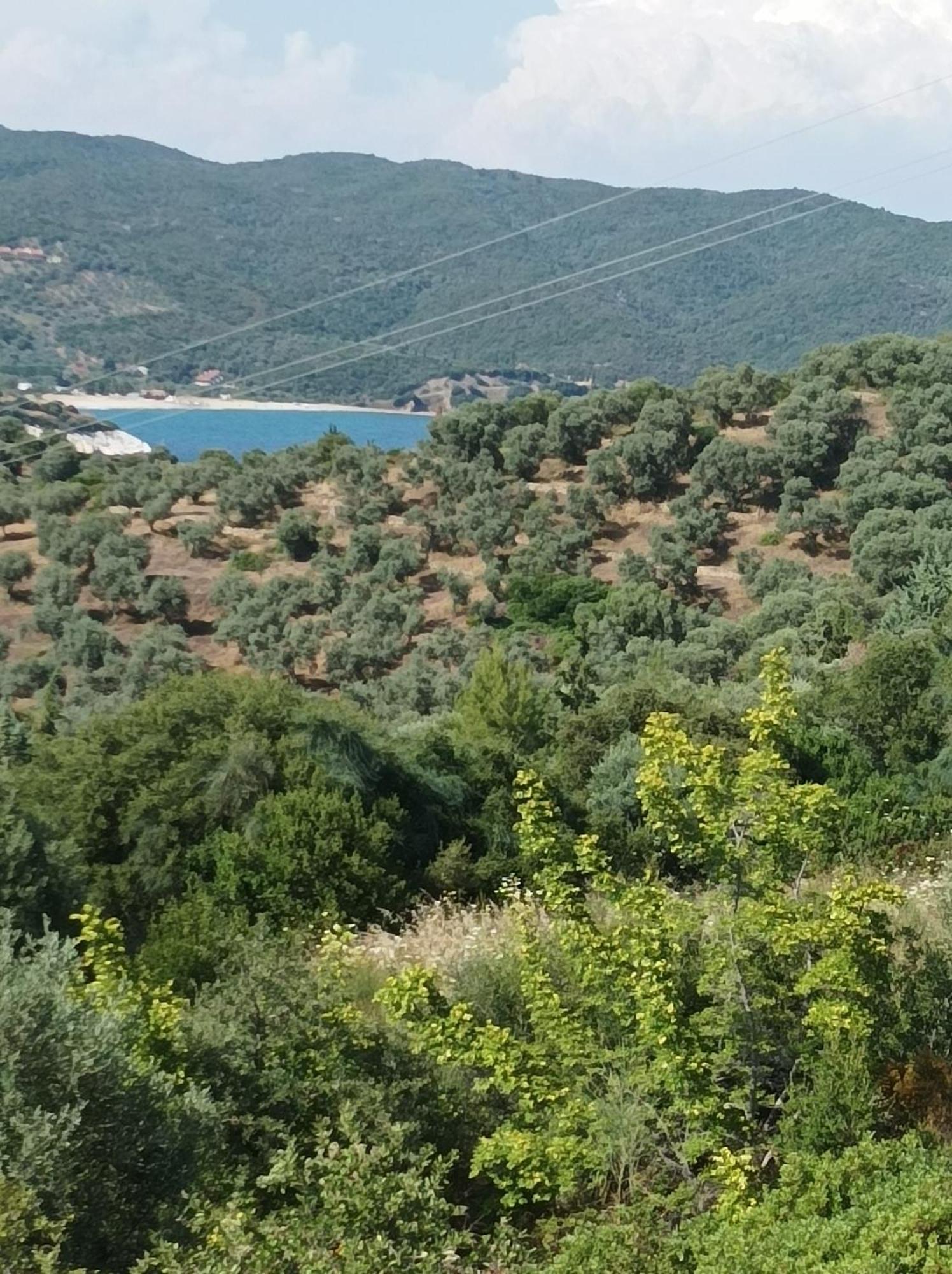 Art Hotel Panorama Pirgadikia Exterior foto